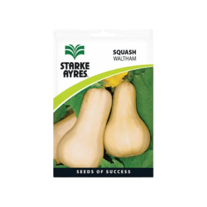 Starke Ayres Squash Waltham