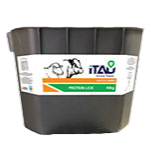 ITAU Protein Block