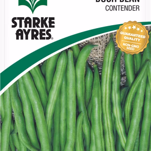 Bush Bean Contender