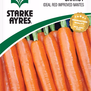 Carrot Ideal Red