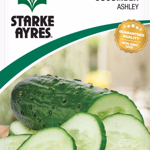 Cucumber Ashley