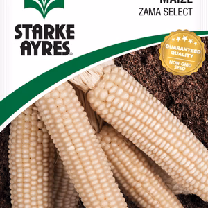 Maize Zama Select