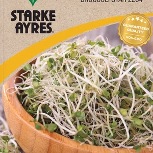 Sprouts Broccoli STAR 2204