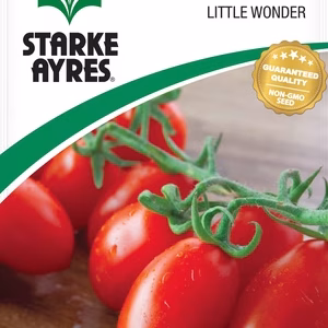 Tomato Little Wonder (Cherry Tomato)