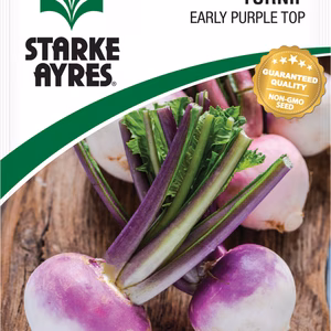 Turnip Early Purple Top